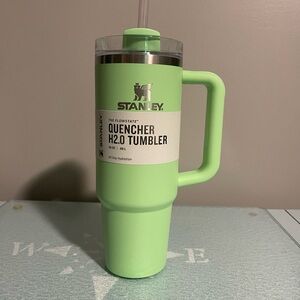 Stanley Flowstate Quencher H2.0 Tumbler 30 oz in the color Feather Green